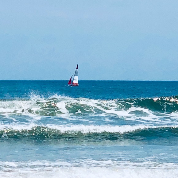 Meet your Posher, Lynette - Picture 1 of 1